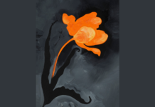 Markus Huemer – Ein Fußballfeld muss baumfrei sein / Neue Galerie, Graz