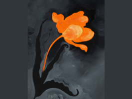 Markus Huemer – Ein Fußballfeld muss baumfrei sein / Neue Galerie, Graz