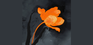 Markus Huemer – Ein Fußballfeld muss baumfrei sein / Neue Galerie, Graz