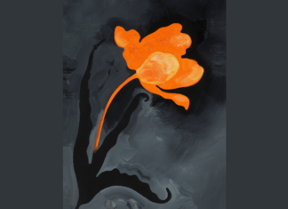 Markus Huemer – Ein Fußballfeld muss baumfrei sein / Neue Galerie, Graz