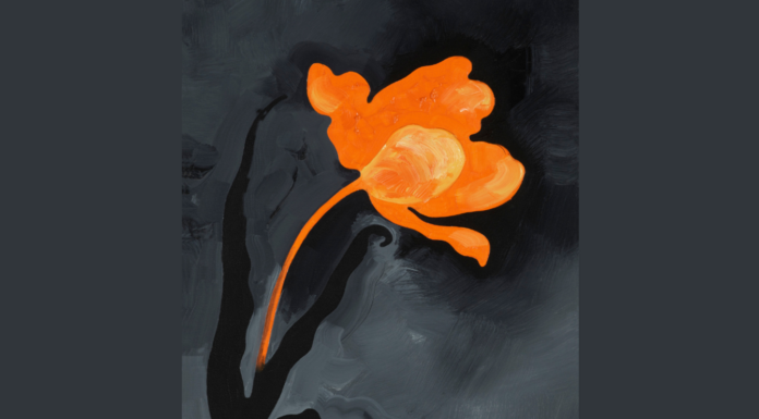 Markus Huemer – Ein Fußballfeld muss baumfrei sein / Neue Galerie, Graz