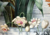 Flowers Up Close – Myths, Symbols, Fragrance and Love / Schloss Trautenfels, Styria