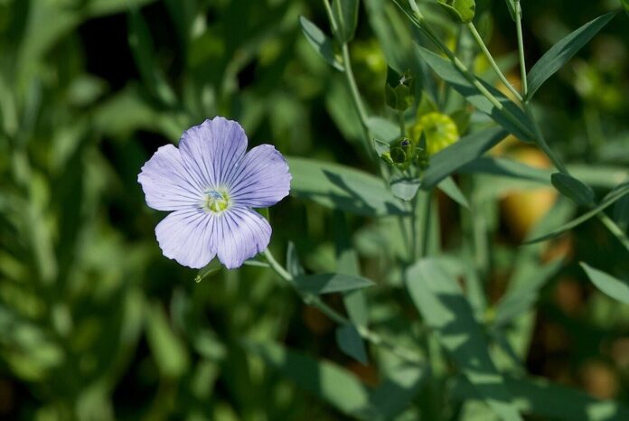 © Universalmuseum Joanneum/K. Wirnsberger