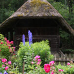 Blühende Medizin – Die vielfältige Kraft der Pflanzen / Österreichisches Freilichtmuseum Stübing, Steiermark