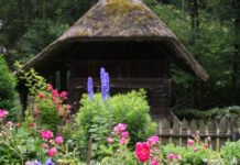 Blühende Medizin – Die vielfältige Kraft der Pflanzen / Österreichisches Freilichtmuseum Stübing, Steiermark