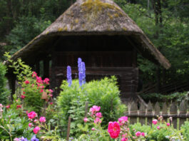 Blühende Medizin – Die vielfältige Kraft der Pflanzen / Österreichisches Freilichtmuseum Stübing, Steiermark