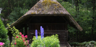 Blühende Medizin – Die vielfältige Kraft der Pflanzen / Österreichisches Freilichtmuseum Stübing, Steiermark