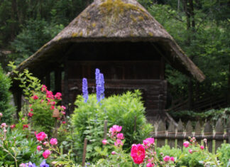 Blühende Medizin – Die vielfältige Kraft der Pflanzen / Österreichisches Freilichtmuseum Stübing, Steiermark