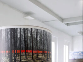 MARKUS GUSCHELBAUER – „PERIPHERIA“ / Galerie Marenzi, Leibnitz, Steiermark