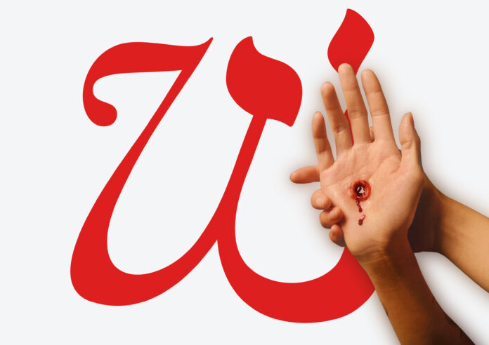 © soju.studioSIRENE Studio