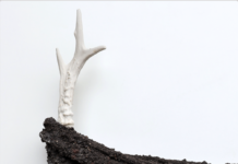 Linda Luse – Dry Pastures / Oberösterreichischer Kunstverein, Linz