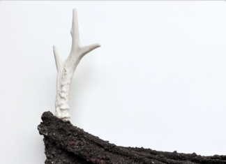 Linda Luse – Dry Pastures / Oberösterreichischer Kunstverein, Linz