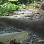 TROUBLED WATERS – Vergessene und verdrängte Flussgeschichten / Akademie Graz, Steiermark