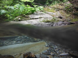TROUBLED WATERS – Vergessene und verdrängte Flussgeschichten / Akademie Graz, Steiermark