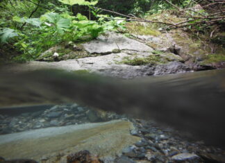 TROUBLED WATERS – Vergessene und verdrängte Flussgeschichten / Akademie Graz, Steiermark