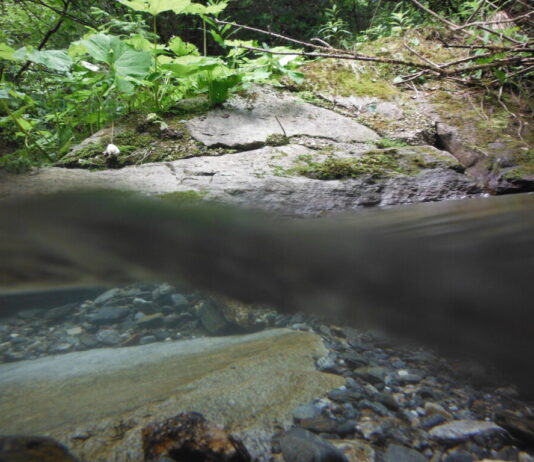 TROUBLED WATERS – Vergessene und verdrängte Flussgeschichten / Akademie Graz, Steiermark
