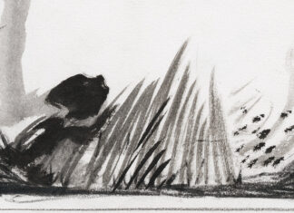 Günter Brus – Das Bleiben im Rahmen des Unmöglichen / BRUSEUM – Neue Galerie, Graz