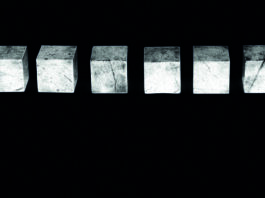 Heliane Wiesauer-Reiterer – Verdichtungen / Wien Museum MUSA