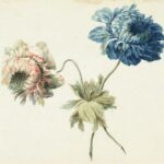 Grafische Schätze aus der Sammlung Kastner / Schlossmuseum Linz