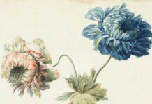 Grafische Schätze aus der Sammlung Kastner / Schlossmuseum Linz