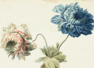 Grafische Schätze aus der Sammlung Kastner / Schlossmuseum Linz