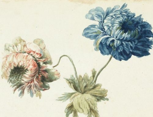 Graphic treasures from the Kastner Collection / Schlossmuseum Linz
