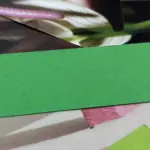 banner-scaled