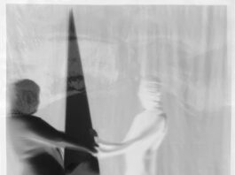 Alexandra Gschiel & Markus Wilfling – LIKE A FLOWER IN THE LANDSCAPE / kunstGarten, Graz