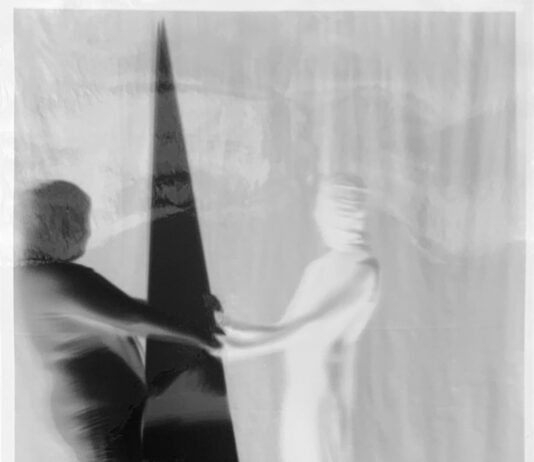 Alexandra Gschiel & Markus Wilfling – LIKE A FLOWER IN THE LANDSCAPE / kunstGarten, Graz