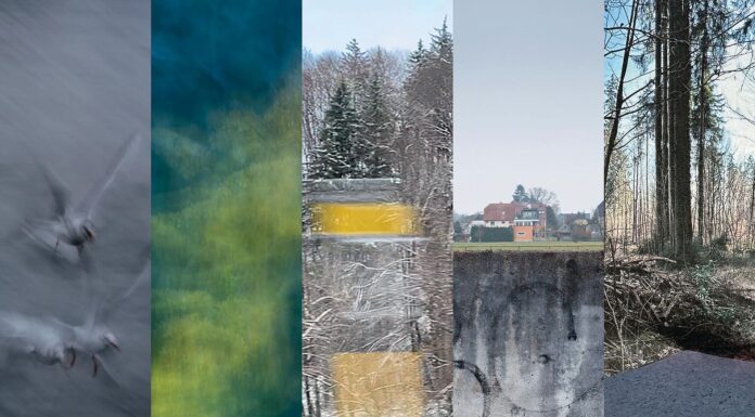 Blurred Fotokollektiv – Beyond the Surface / Stadtgalerie Rathaus, Salzburg