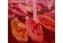 KATERYNA LYSOVENKO – Borderland / MAK Wien