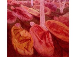 KATERYNA LYSOVENKO – Borderland / MAK Wien