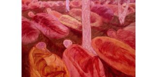 KATERYNA LYSOVENKO – Borderland / MAK Wien