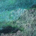 HUBERT BLANZ | Stadt-Land-Cyberspace / Bildraum Bodensee, Vorarlberg