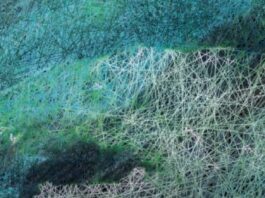 HUBERT BLANZ | Stadt-Land-Cyberspace / Bildraum Bodensee, Vorarlberg
