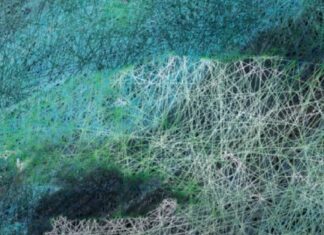 HUBERT BLANZ | Stadt-Land-Cyberspace / Bildraum Bodensee, Vorarlberg