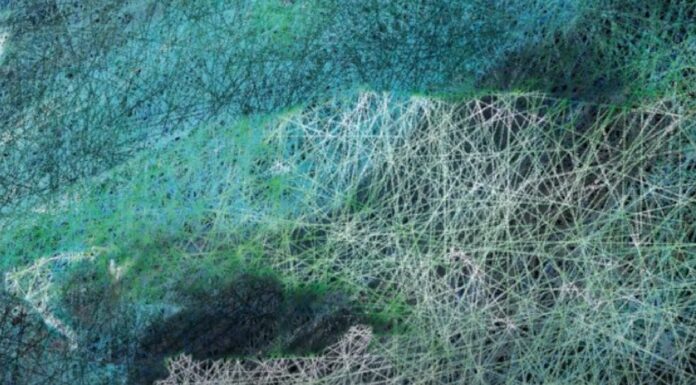 HUBERT BLANZ | Stadt-Land-Cyberspace / Bildraum Bodensee, Vorarlberg