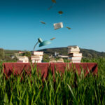 Ein frohes Fest! – OÖ Literaturfestival 45536 / various locations, Schlierbach, Oberösterreich