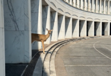Ars Electronica 2026 / Linz, various locations