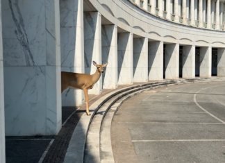 Ars Electronica 2026 / Linz, various locations