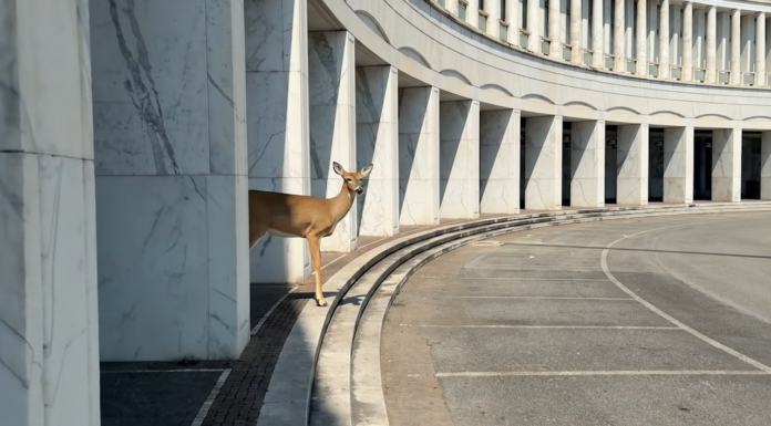 Ars Electronica 2026 / Linz, various locations