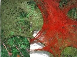 Tyrone Egbowon / Galerie allerart, Bludenz, Vorarlberg