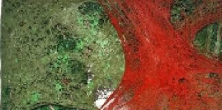 Tyrone Egbowon / Galerie allerart, Bludenz, Vorarlberg