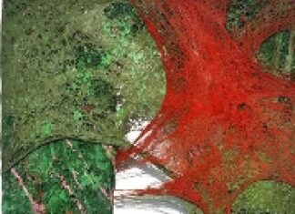Tyrone Egbowon / Galerie allerart, Bludenz, Vorarlberg