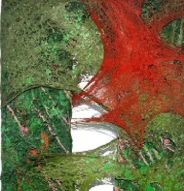 Tyrone Egbowon / Galerie allerart, Bludenz, Vorarlberg