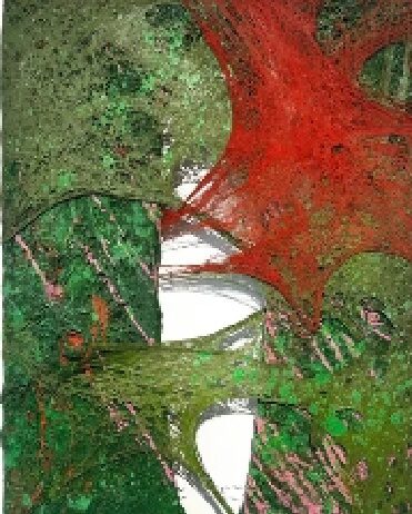 Tyrone Egbowon / Galerie allerart, Bludenz, Vorarlberg