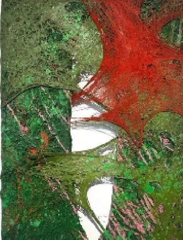 Tyrone Egbowon / Galerie allerart, Bludenz, Vorarlberg