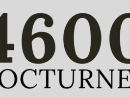 4600 NOCTURNES / Ukraine Office Austria