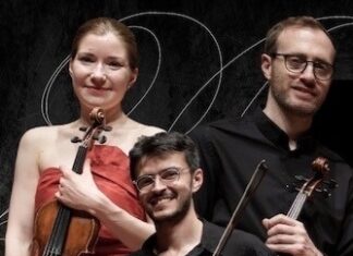 Wiener Kammersymphonie / Österreichische Botschaft Buenos Aires