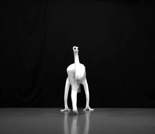 Prix Ars Electronica & S+T+ARTS Prize / Lentos Kunstmuseum, Linz